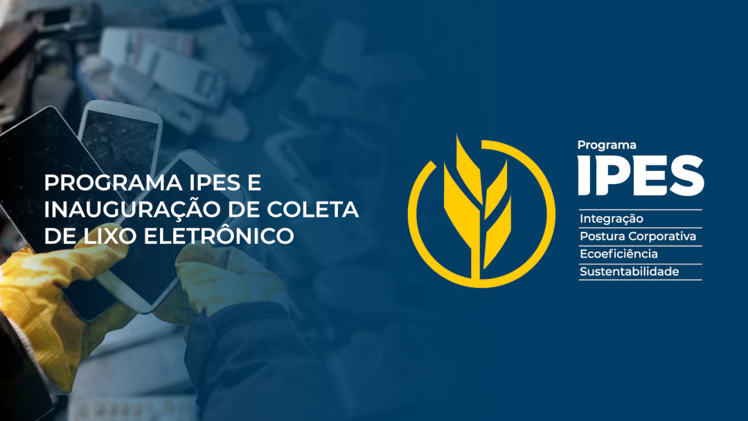 Ipes